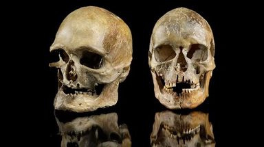 Deux crânes humains préhistoriques Deux crânes humains préhistoriques