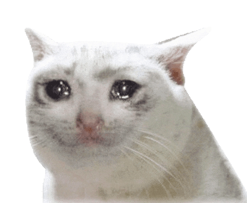 Kitty Crying GIFs | Tenor