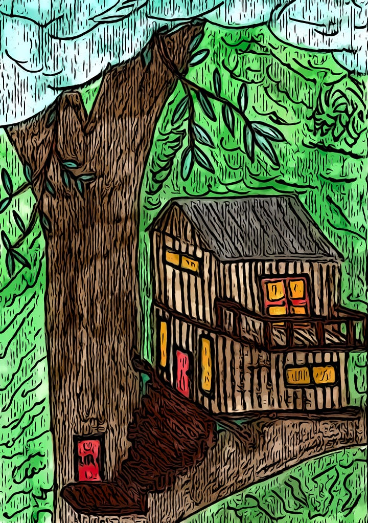 A tiny treehouse in a forest