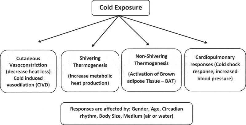 Figure 2. Figure 2.