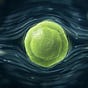 Syruponium's avatar