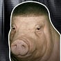 TDT's avatar