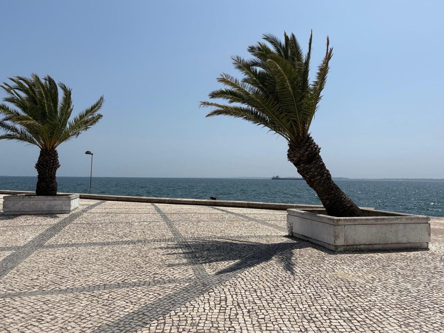 Two palm trees, one bent at an angle, on an ocean waterfront. Two palm trees, one bent at an angle, on an ocean waterfront.