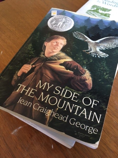 My Side of the Mountain book cover