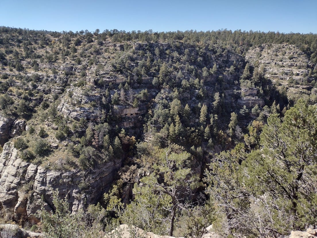 Canyon with layered cliffs and trees