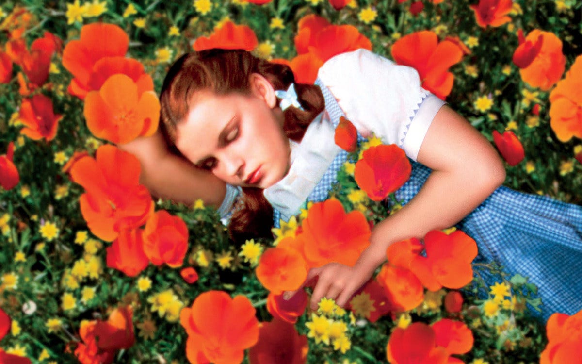 You'll Never Guess How They Made the Snow in The Wizard of Oz Poppy ...