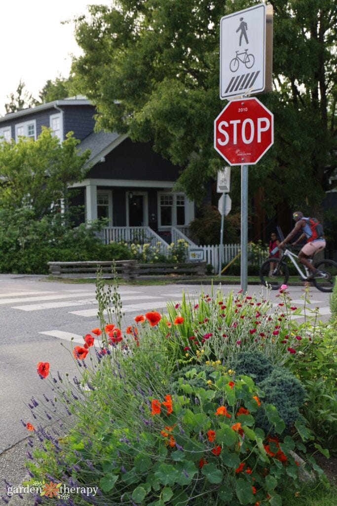 sidewalk garden sidewalk garden