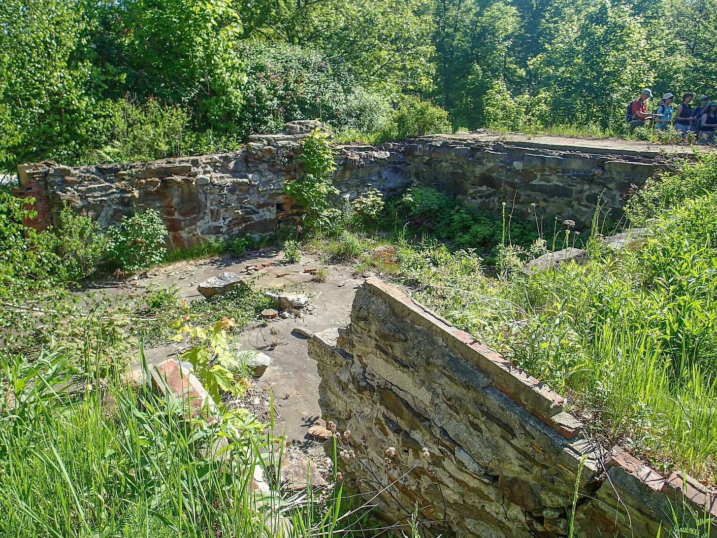 Lodge foundation