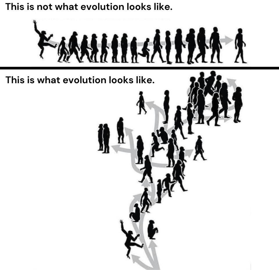 12 Things Everyone Should Know About Evolutionary Theory