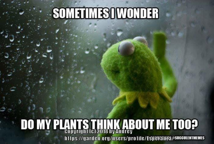 Funny Meme : r/gardening
