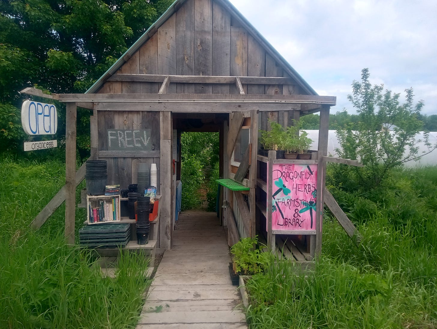 A wooden farmstand with an open entrance, featuring signs for organic eggs, free produce, and 'The Dragonfly Herbs Farmstand & Library' surrounded by lush greenery.