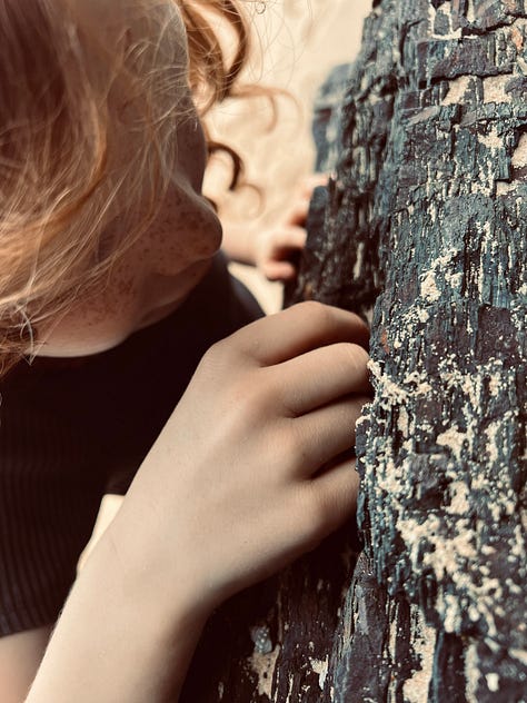 somatic experiencing, somatic healing, direct experiencing, senses