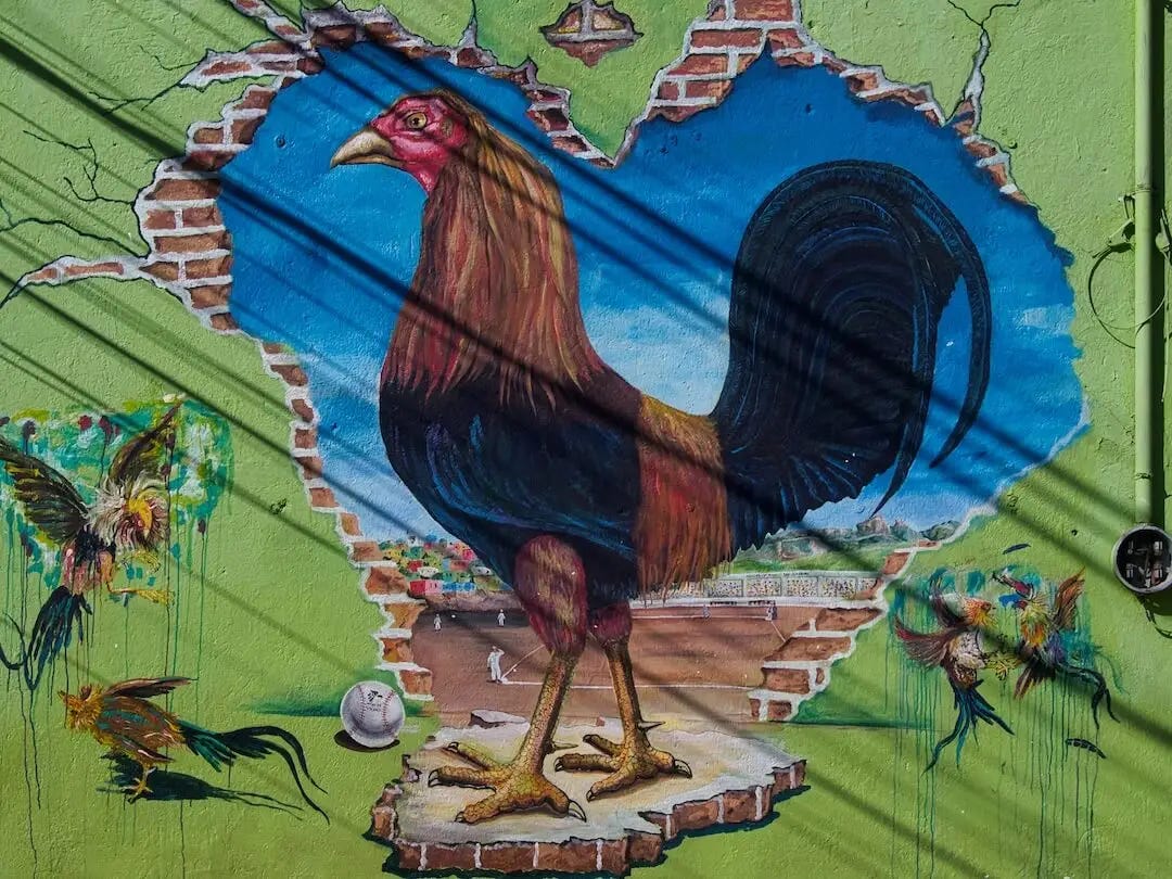 Street art - a chicken stands in front of a heart-shaped hole in a green wall
