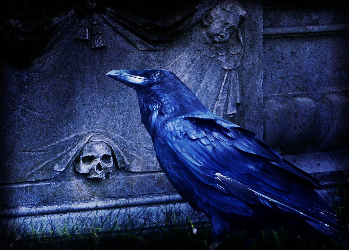 a crow perched by a gothic tombstone