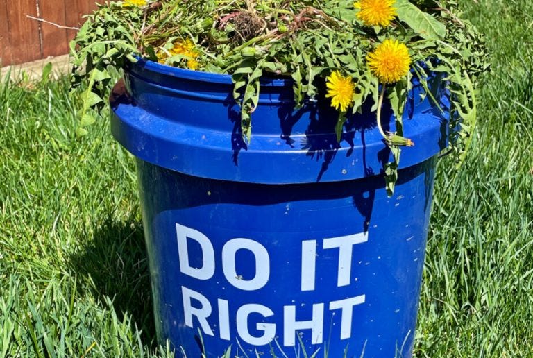 Bucket of Weeds with "Do it right" message