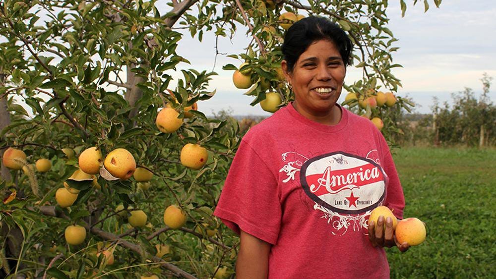 Migrant farmworkers remain crucial to harvest | Nebraska Public Media