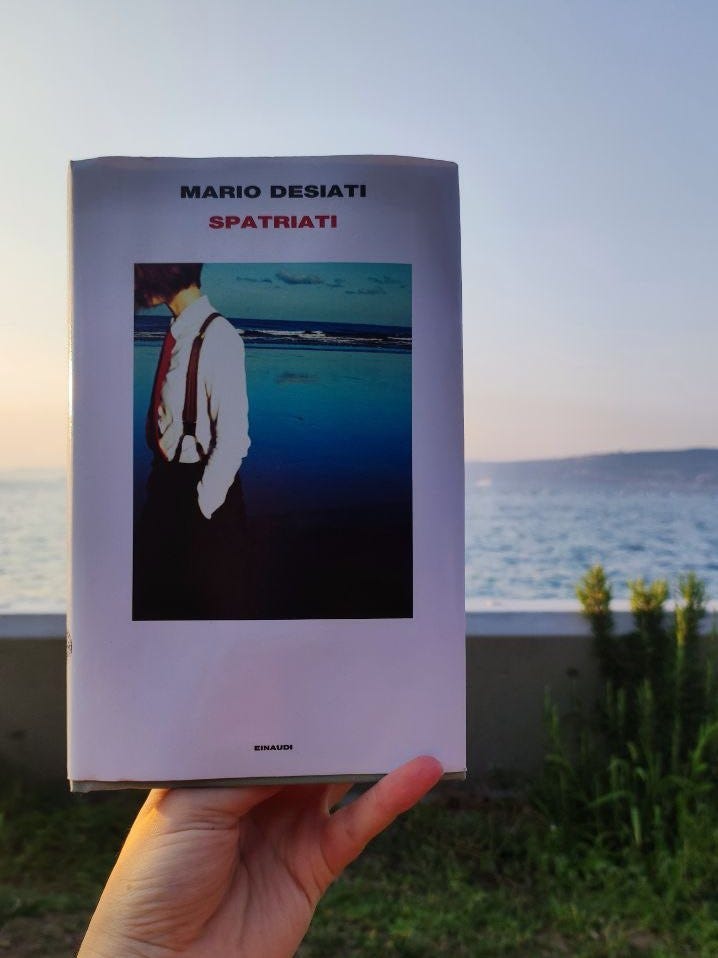 Una mano tiene un libro. Sullo sfondo il mare al tramonto. Davanti al mare c'è un muretto con un prato. Il libro è "Gli spatriati" di Mario Desiati