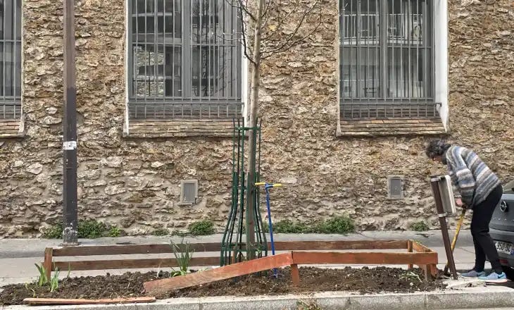Photo of someone digging around an untidy pavement garden. Photo of someone digging around an untidy pavement garden.