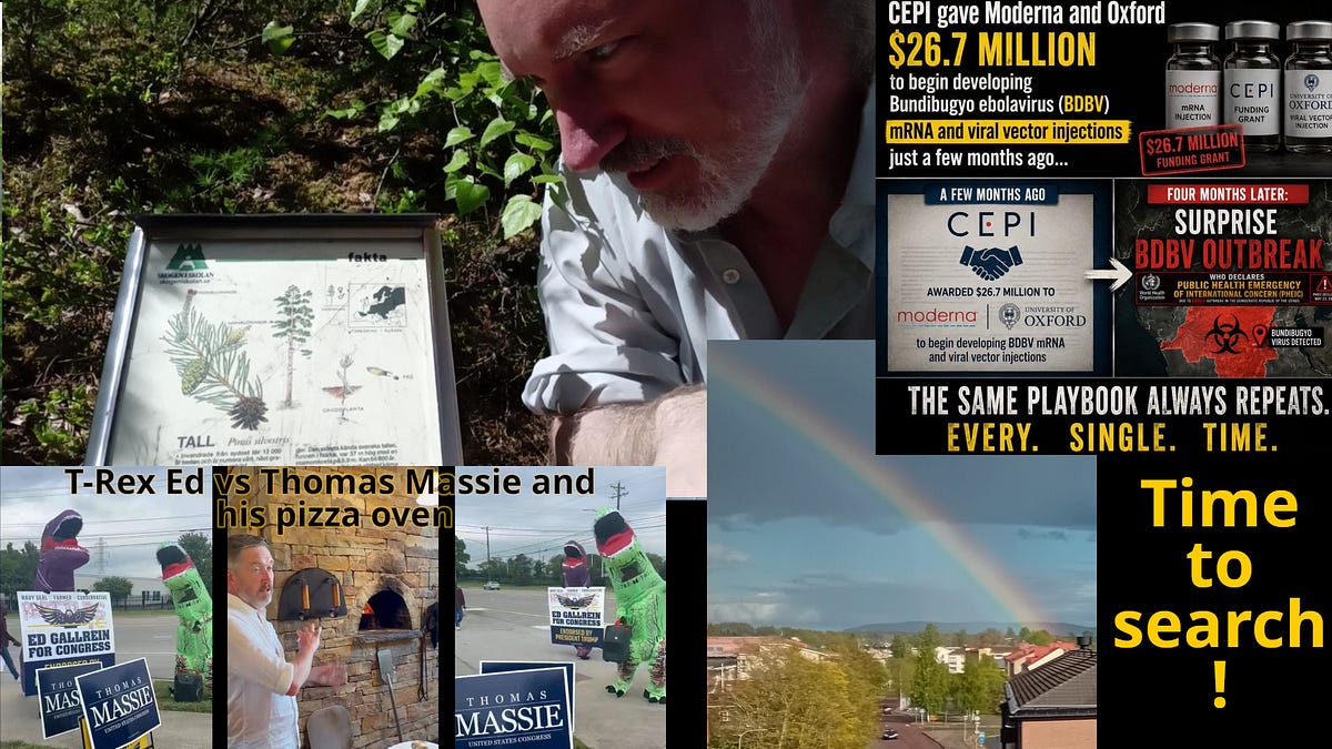 Ebola-murders? More IDF💥base. Unbelievable tales. Massie pizza oven vs T-Rex! Electricity stretches