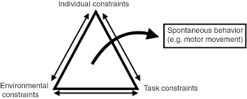 Wht Is Dynamic Contrrast Dynamic Systems Theory - by Michael McIsaac, MS, MS, CSCS