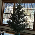 I Think My Office Is Trying to Kill Me