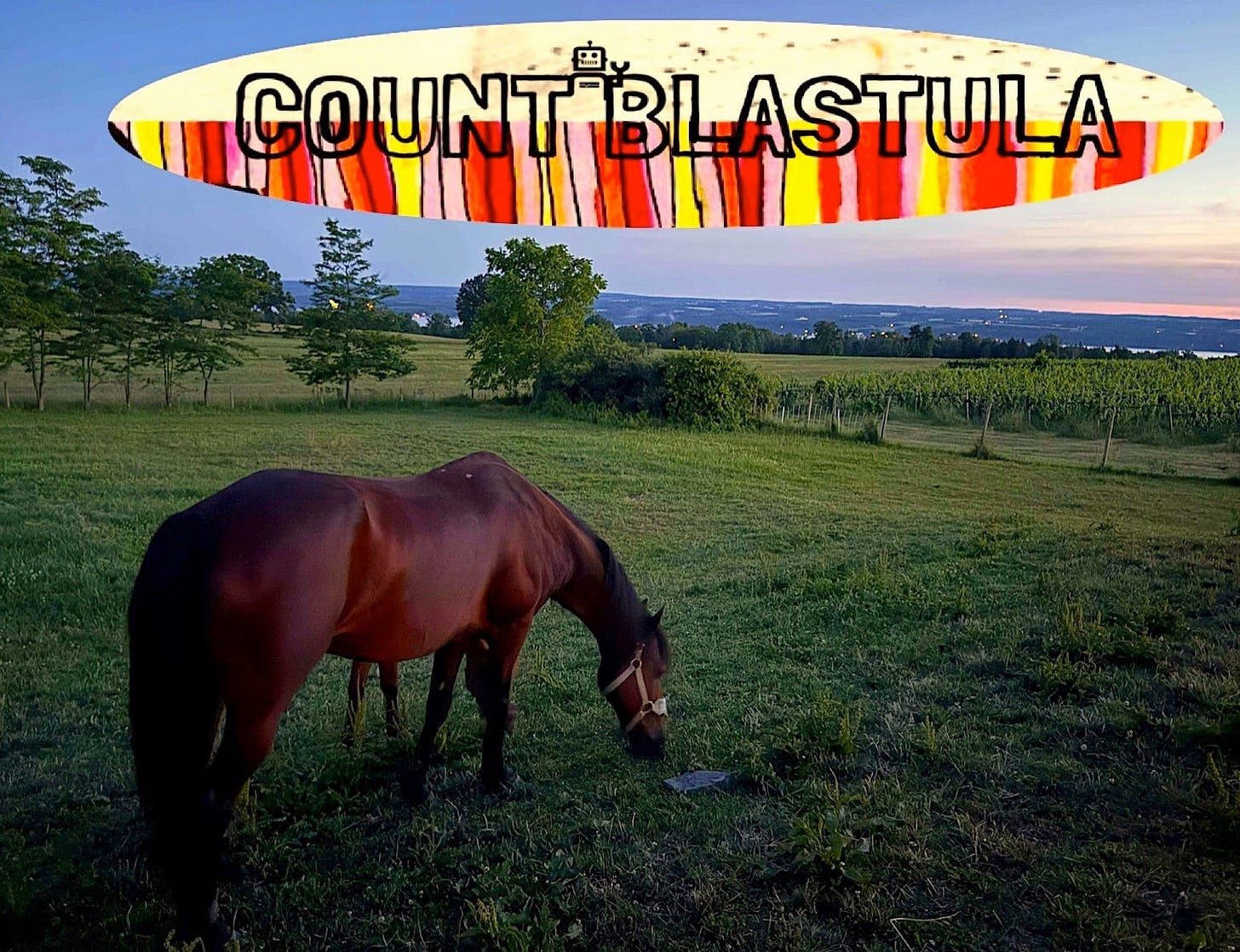 May be an image of horse and text that says 'COUNT COUNTBLASTULA BLASTULA BL'