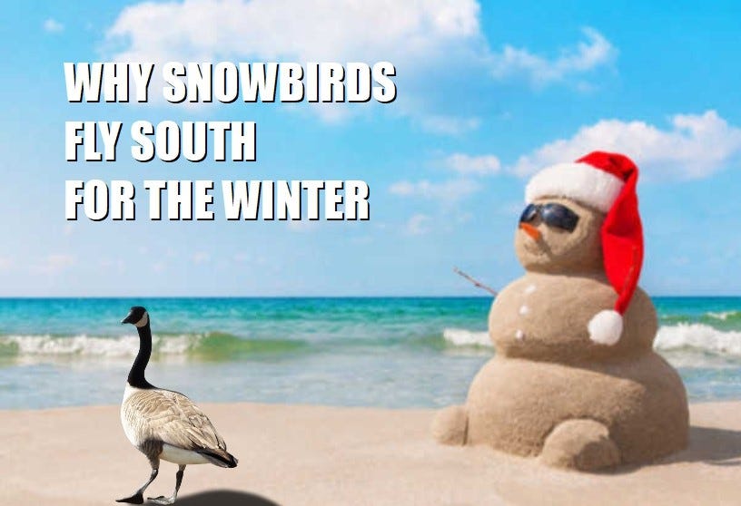 Reasons why Snowbirds use Auto Transport to or from Pennsylvania