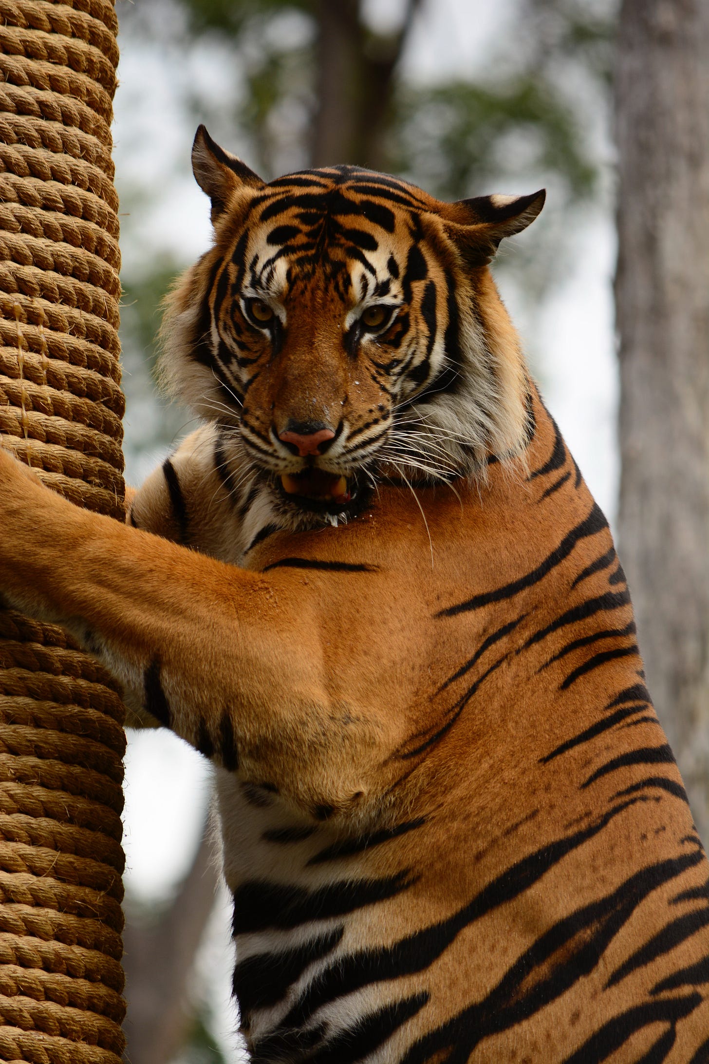 Photo by Vish K on Unsplash