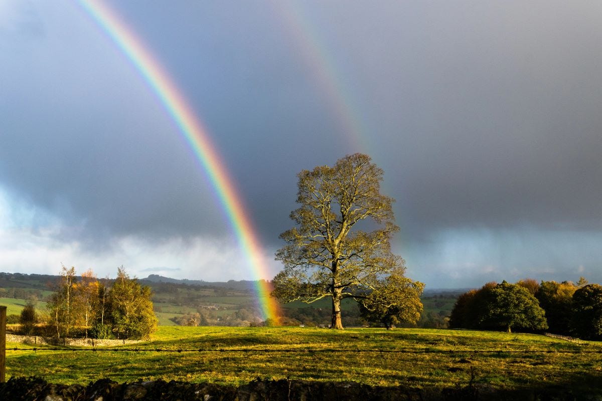 Double rainbow over countryside