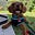 Bryan P's avatar