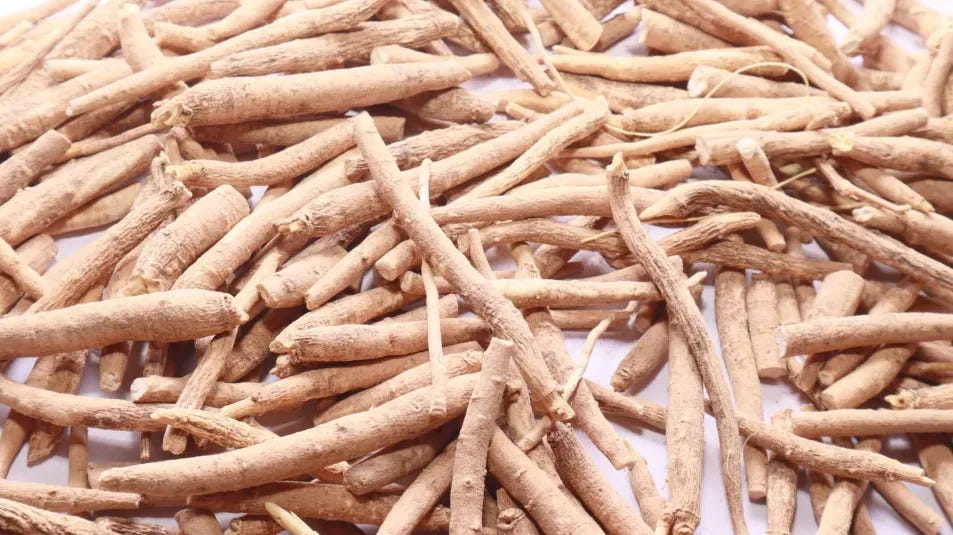 Ashwagandha | Kew