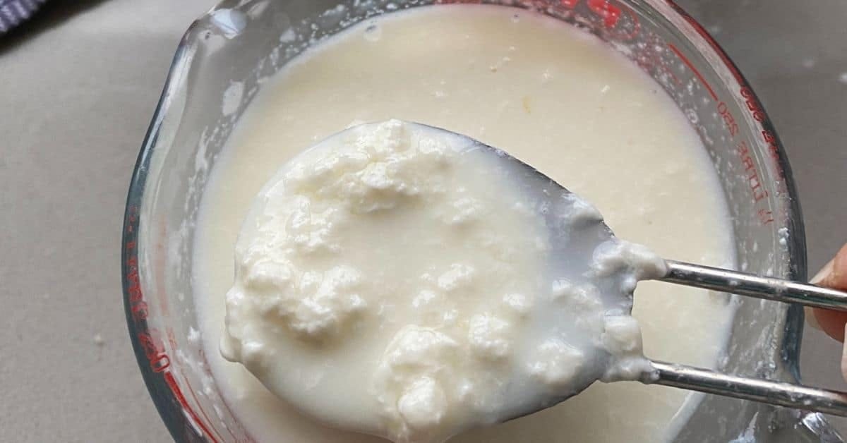 Homemade Buttermilk Mixture in a jug. Buttermilk in a small clear jug.