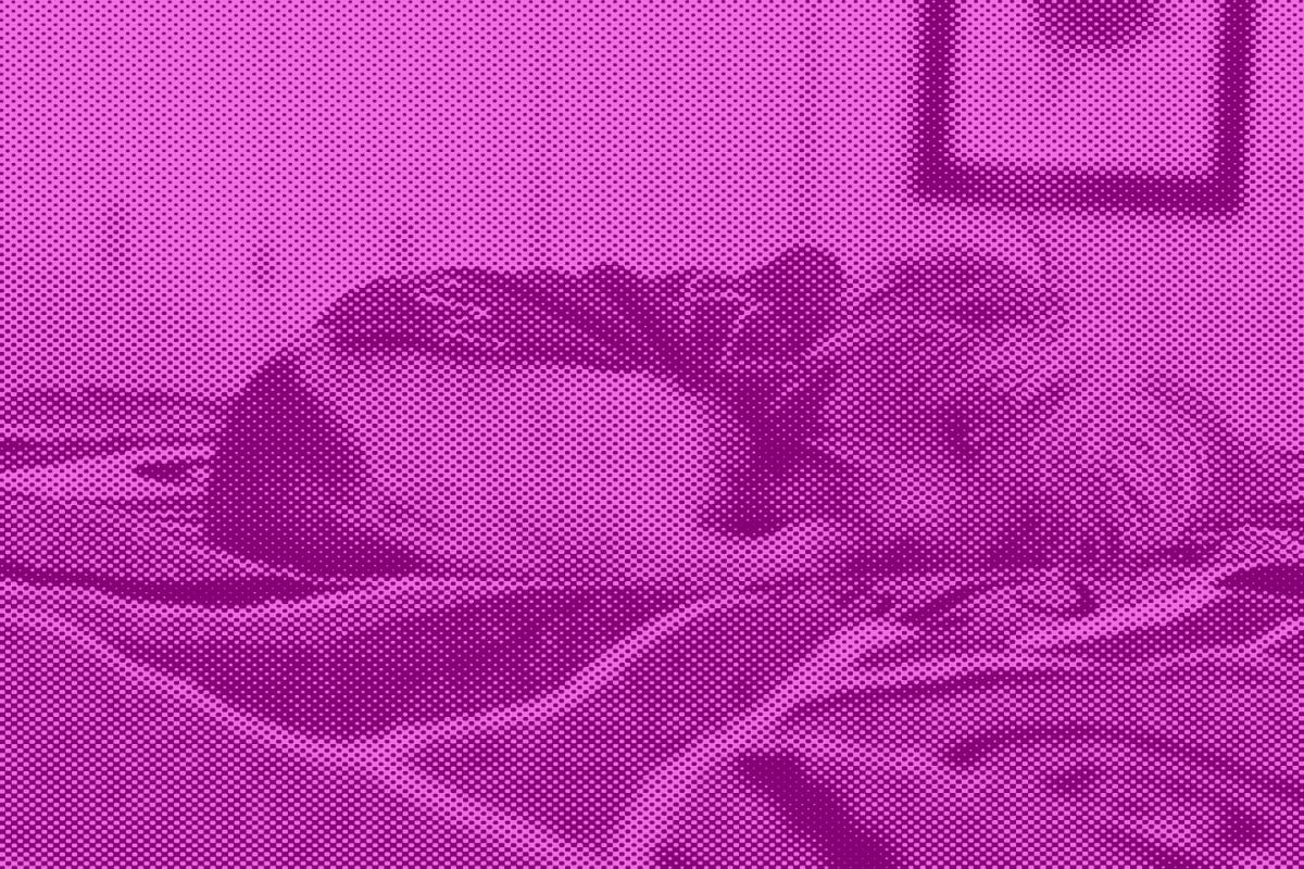 dog sleeping on bed dog sleeping on bed