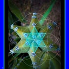 Six Archetype: Soul Octave