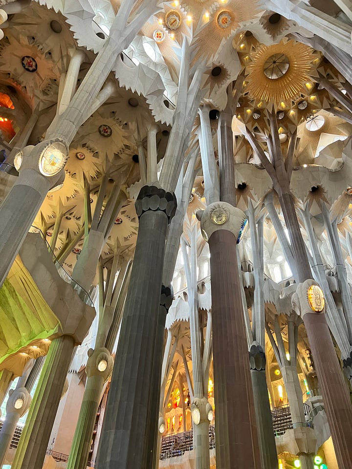 The Cathedral Made of Light