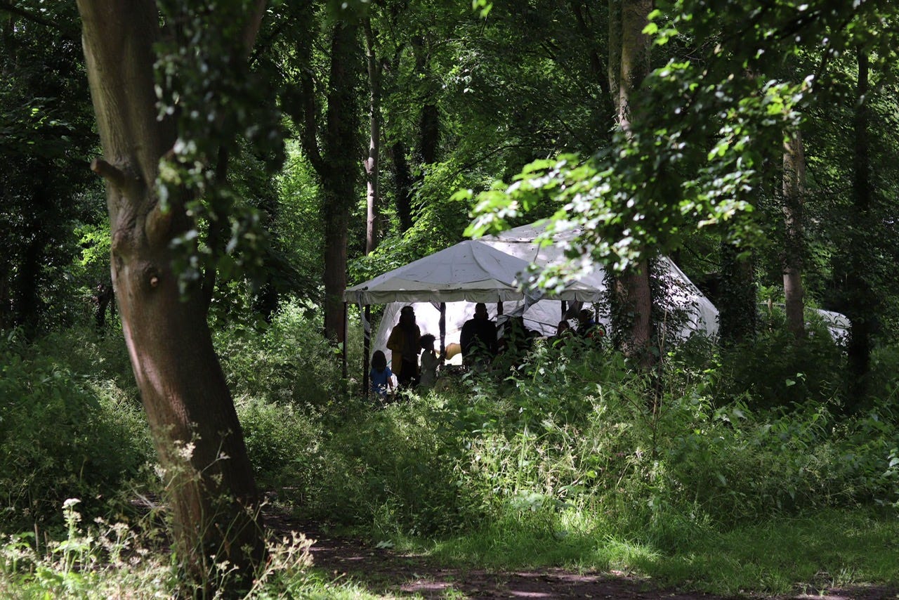 Geodome in a woodland