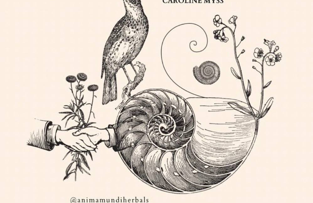 The Challenge Is To Silence The Mind