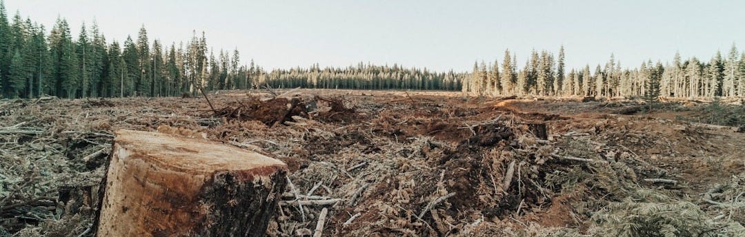 brown tree log on green grass field during daytime brown tree log on green grass field during daytime