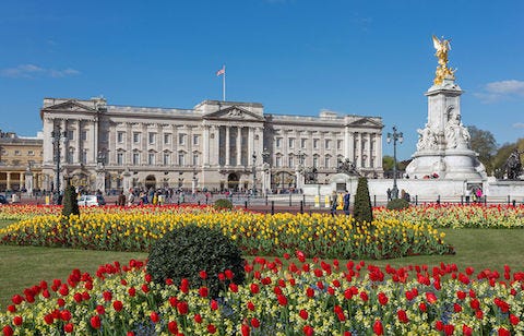 Buckingham_Palace_from_gardens,_London,_UK_-_Diliff