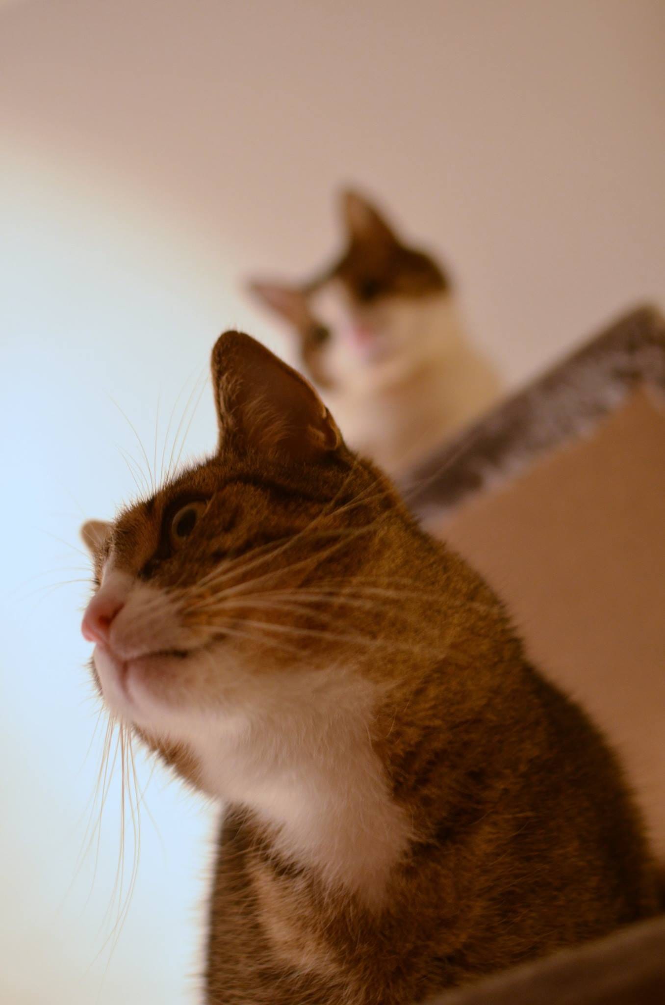 No photo description available.