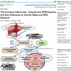 BREAKING: Vaccines May Trigger Sudden Infant Death Syndrome via Brainstem Failure