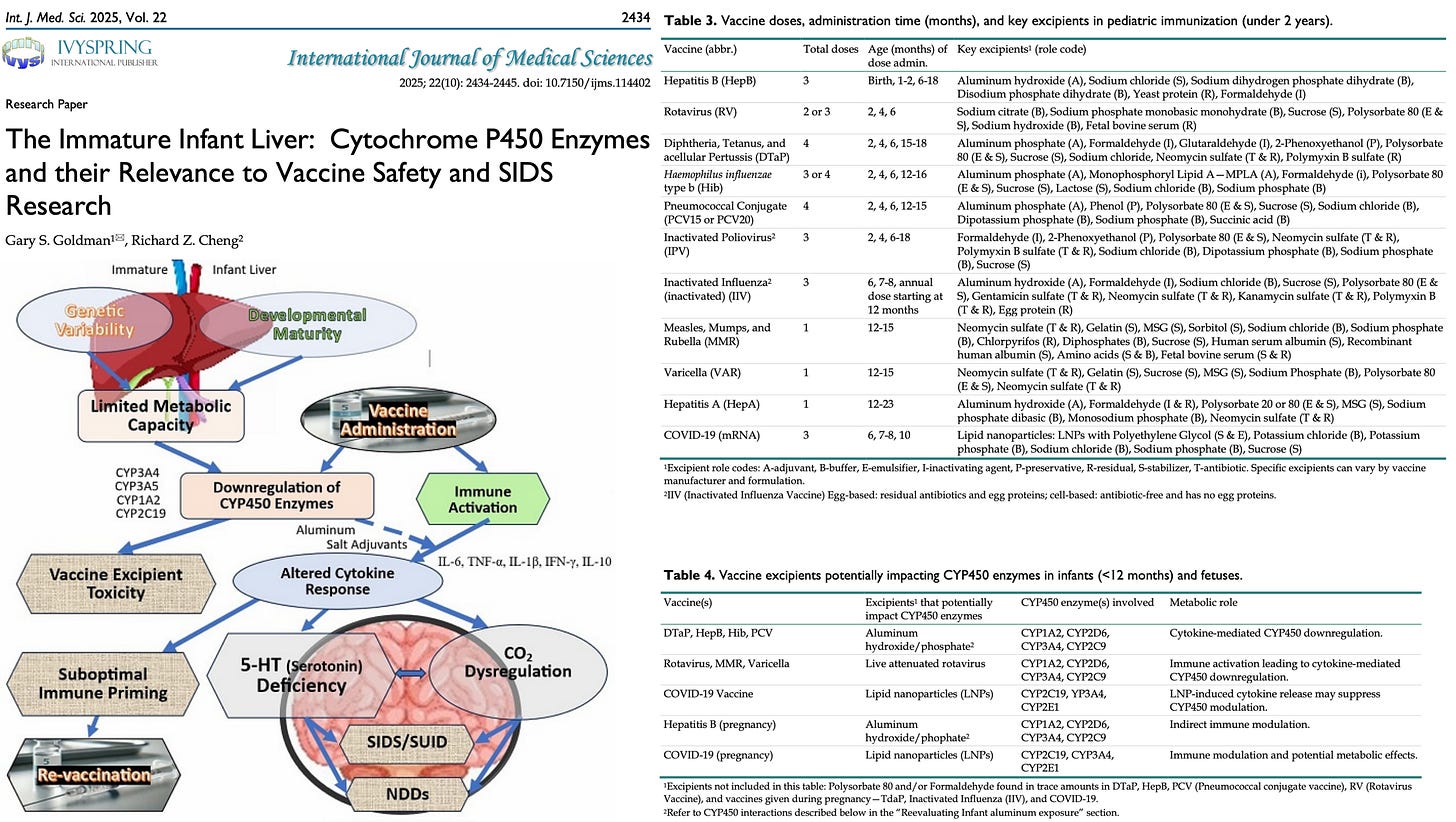 BREAKING: Vaccines May Trigger Sudden Infant Death Syndrome via Brainstem Failure