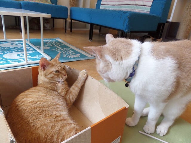 Defending the box Defending the box