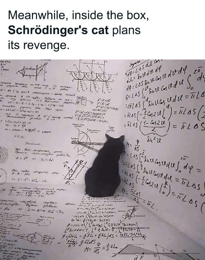 A cat surrounded by physics equations, referencing Schrödinger's cat with a humorous twist. A cat surrounded by physics equations, referencing Schrödinger's cat with a humorous twist.