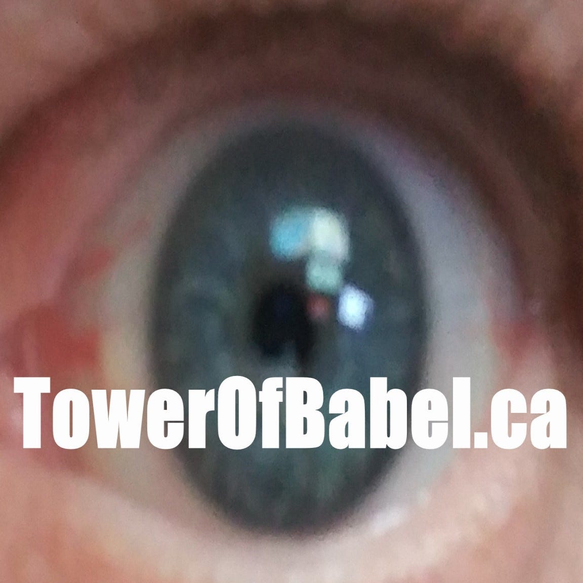 The Modern Tower of Babel