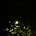 subhasini's avatar
