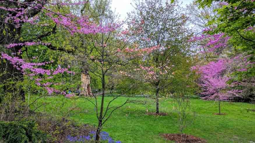 Highland Park in May Highland Park in May