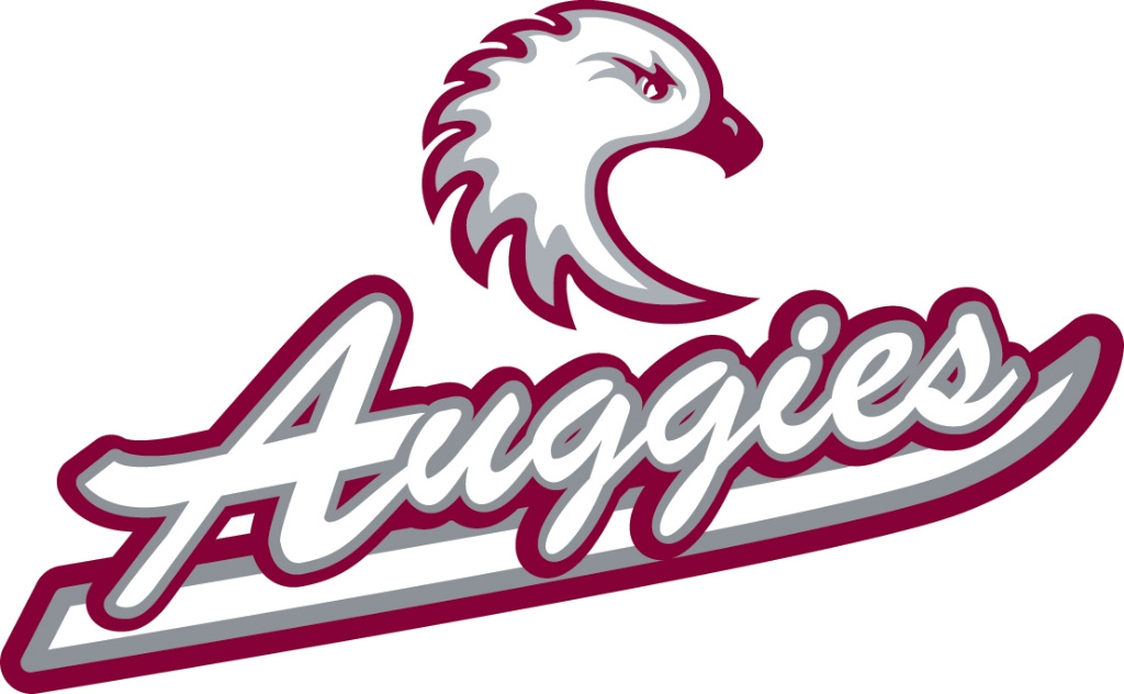 Augsburg Sports Information Download Page - Augsburg University Athletics