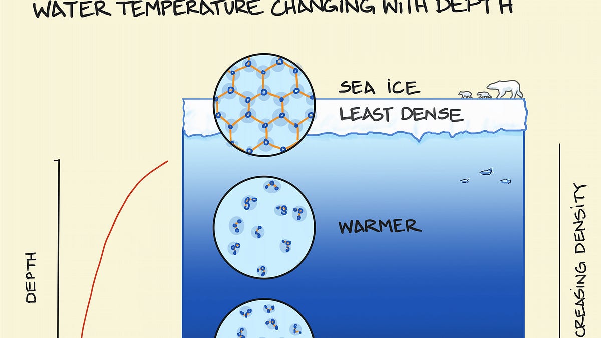 Thermocline