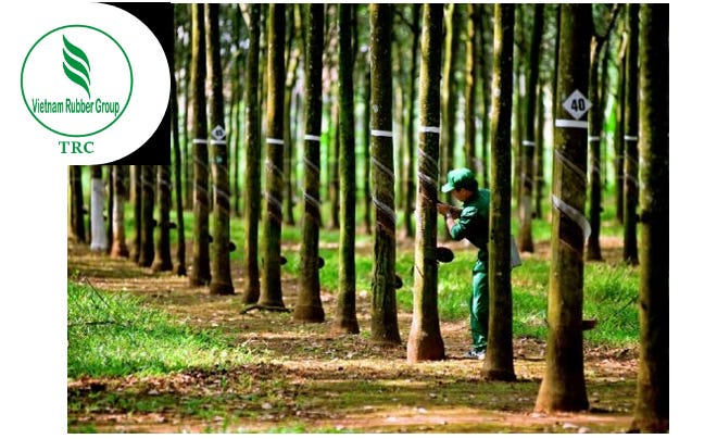 Giá cổ phiếu TRC? Có nên đầu tư cổ phiếu Cao Su Tây Ninh không? Giá cổ phiếu TRC? Có nên đầu tư cổ phiếu Cao Su Tây Ninh không?